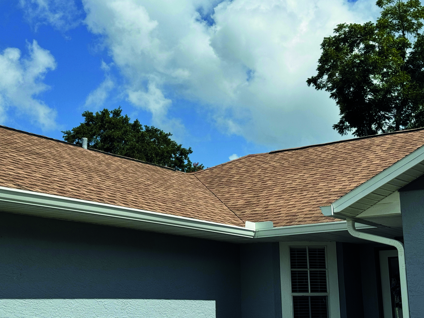Roof after cleaning