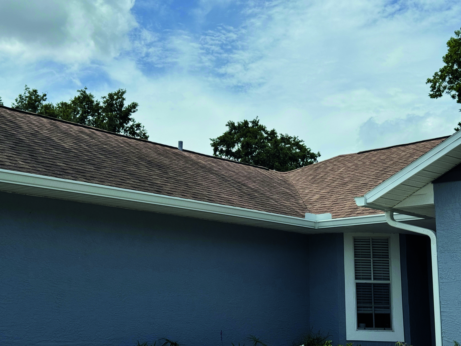 Roof before cleaning